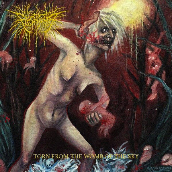 Flesh Tomb  Torn From The Womb Of The Sky  CD Cheap