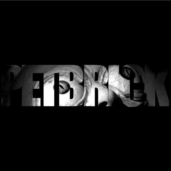 Petbrick  Petbrick  12  Vinyl For Discount
